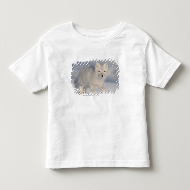 Arctic Fox, Alaska Toddler T-shirt (Front)