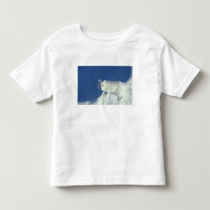 Arctic fox Alopex lagopus) An arctic fox Toddler T-shirt