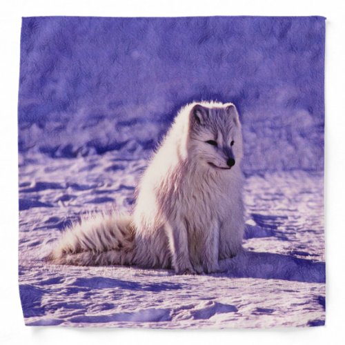 Arctic Fox Bandana