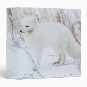 Arctic Fox Binder