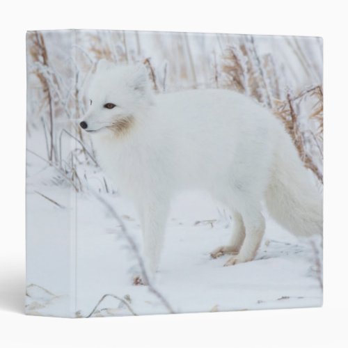 Arctic Fox Binder