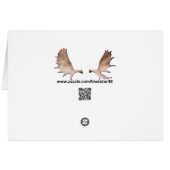 Arctic Fox Cards (Back Horizontal)