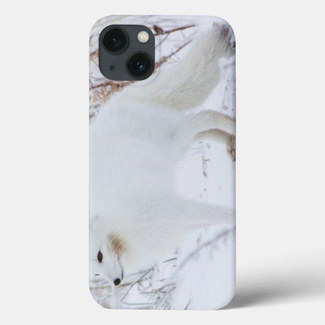 Arctic Fox Case-Mate iPhone Case (Back)