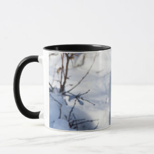 Arctic Fox , Churchill Wildlife Management Area Mug