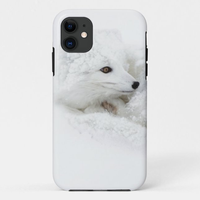 Arctic Fox curled up in winter Case-Mate iPhone Case (Back)
