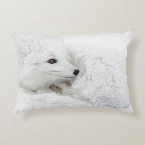 Arctic Fox curled up in winter Decorative Pillow