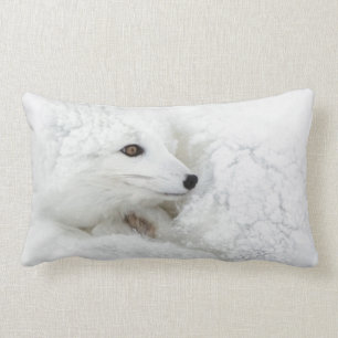 Arctic Fox curled up in winter Lumbar Pillow