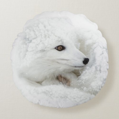 Arctic Fox curled up in winter Round Pillow