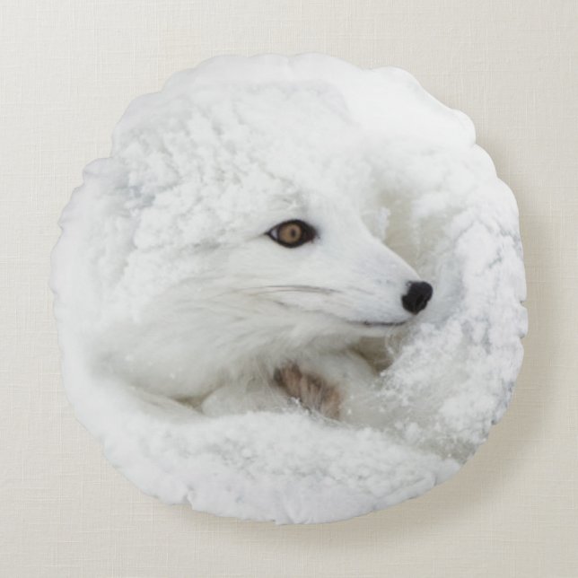 Arctic Fox curled up in winter Round Pillow (Front)