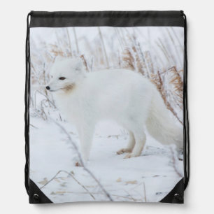 Arctic Fox Drawstring Bag