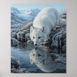 Arctic Fox Drinking Glacial Brook Water Reflection Poster