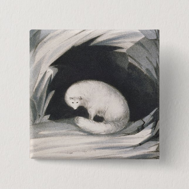 Arctic Fox, from 'Narrative of a Second Voyage in Button (Front)