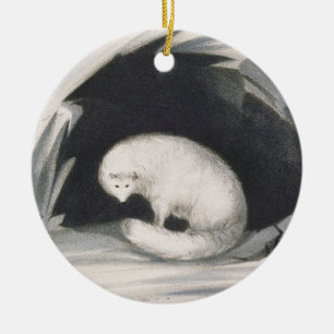 Arctic Fox, from 'Narrative of a Second Voyage in Ceramic Ornament