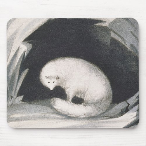 Arctic Fox from Narrative of a Second Voyage in Mouse Pad