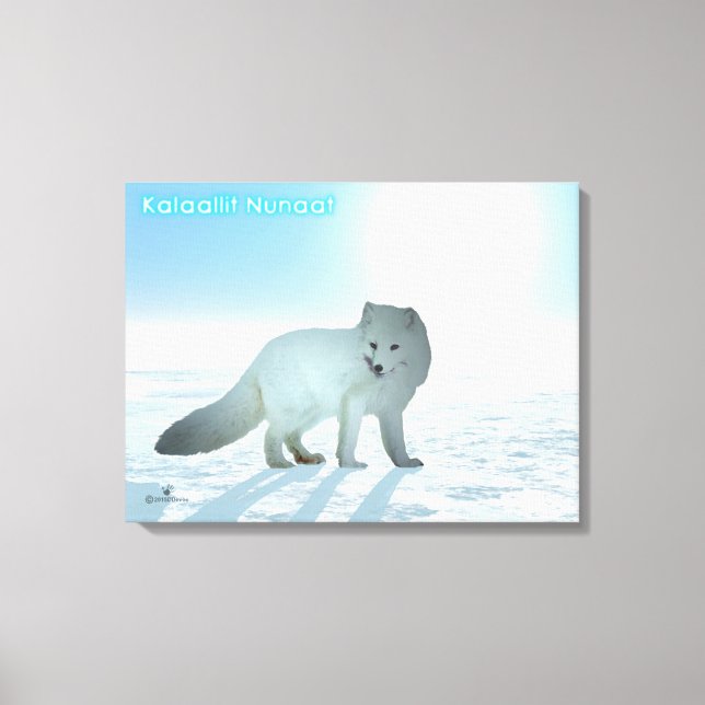 Arctic Fox - Greenland Canvas Print (Front)
