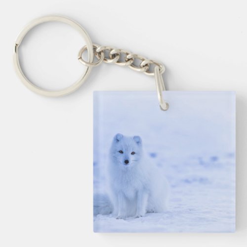 Arctic Fox Iceland photograph Keychain