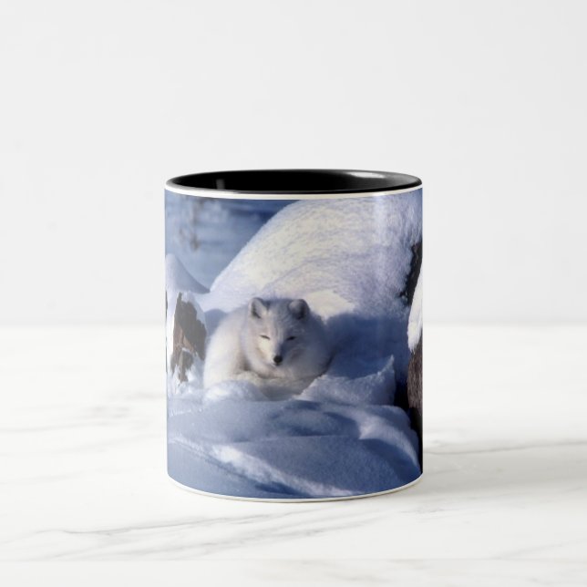 Arctic Fox in Snow Two-Tone Coffee Mug (Center)