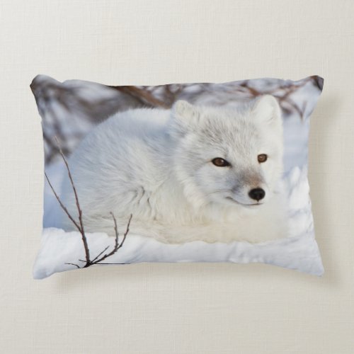 Arctic Fox in winter Decorative Pillow