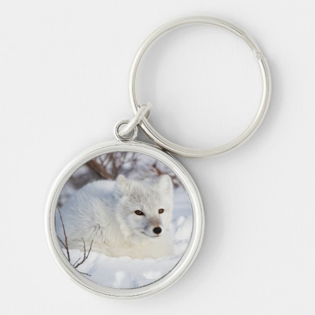 Arctic Fox in winter Keychain (Front)