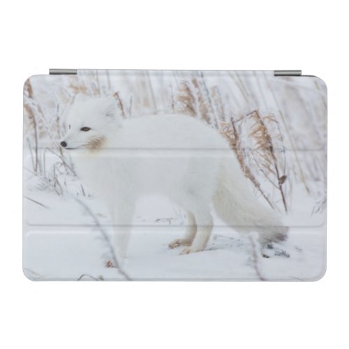 Arctic Fox iPad Mini Cover