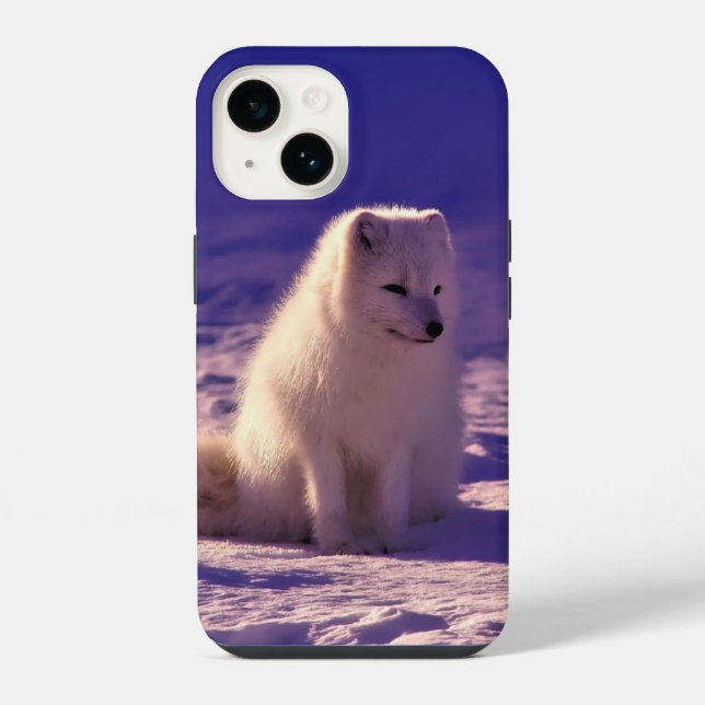 Arctic Fox Iphone Case (Back)