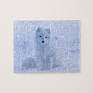 Arctic Fox Jigsaw Puzzle