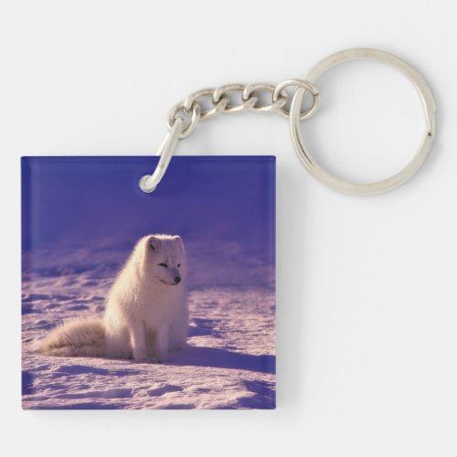 Arctic Fox Keychain