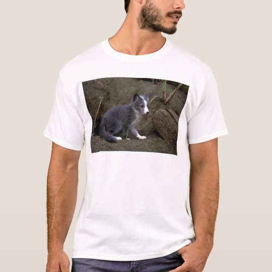 Arctic Fox kit T-Shirt