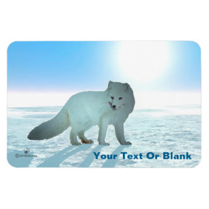 Arctic Fox Magnet