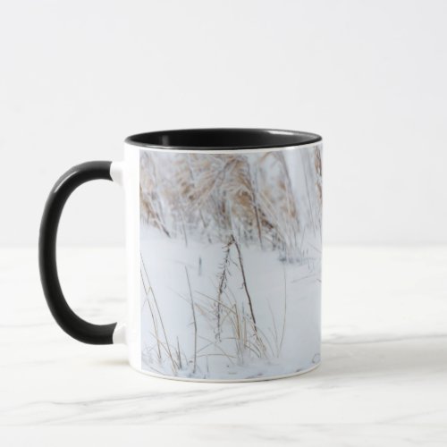 Arctic Fox Mug