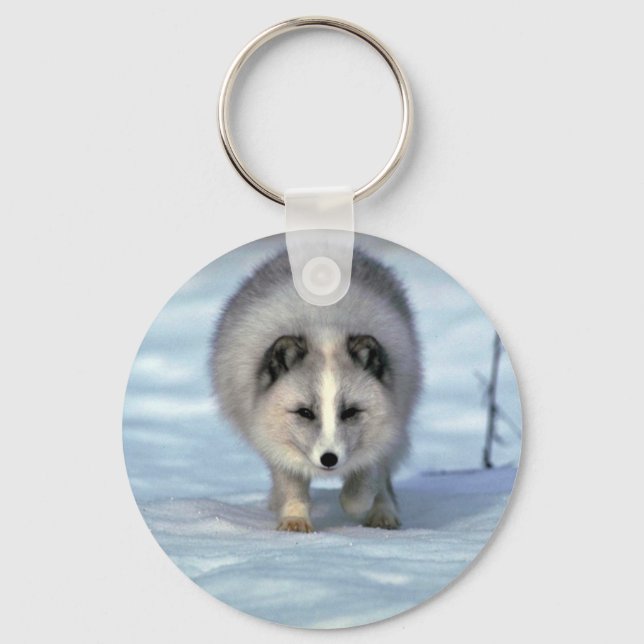 Arctic Fox on snow Keychain (Front)