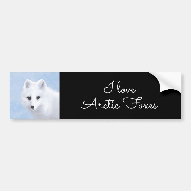 Arctic Fox Painting - Original Wildlife Art Bumper Sticker (Front)