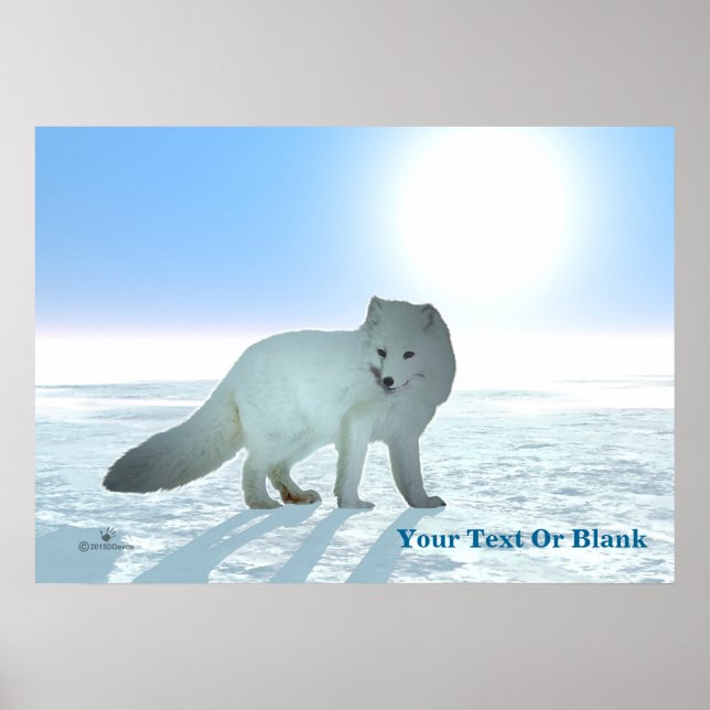 Arctic Fox Poster (Front)