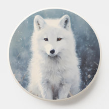 Arctic Fox Pup Winter Portrait