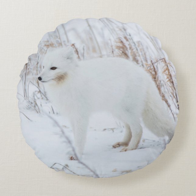 Arctic Fox Round Pillow (Front)