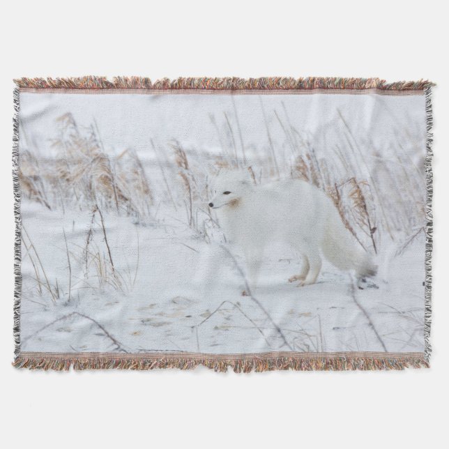 Arctic Fox Throw Blanket (Front)