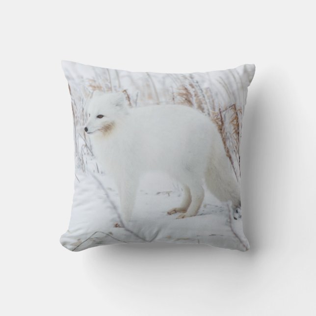 Arctic Fox Throw Pillow (Front)