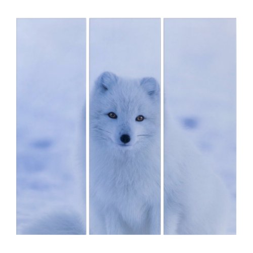 Arctic Fox   Triptych