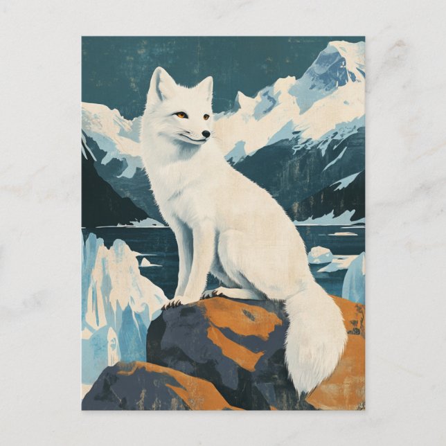 Arctic fox vintage postcard (Front)