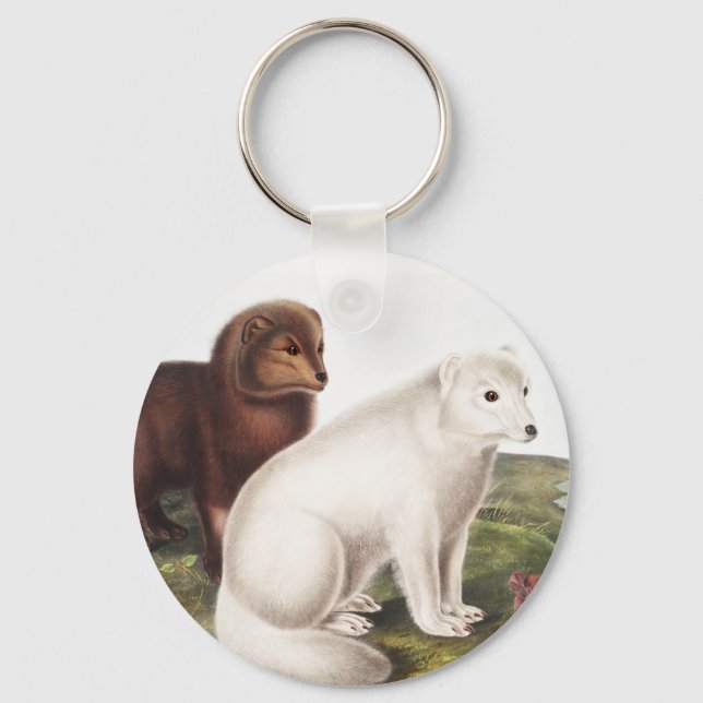 Arctic Fox (Vulpes lagopus) Illustration Keychain (Front)
