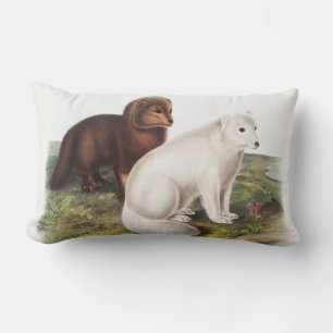 Arctic Fox (Vulpes lagopus) Illustration Lumbar Pillow