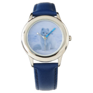 arctic fox watch