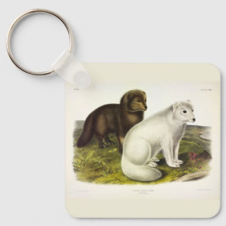 Arctic Fox (White Fox, Polar Fox, Snow Fox) Keychain