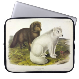 Arctic Fox (White Fox, Polar Fox, Snow Fox) Laptop Sleeve