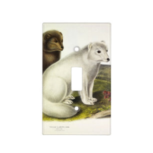 Arctic Fox (White Fox, Polar Fox, Snow Fox) Light Switch Cover