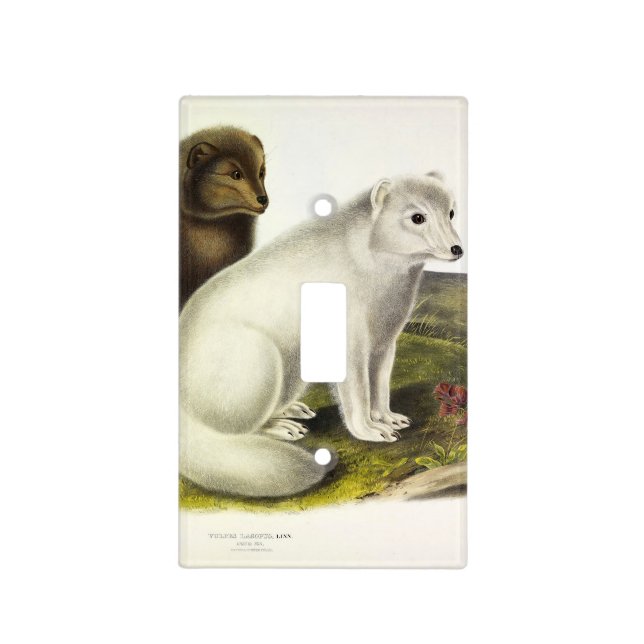 Arctic Fox (White Fox, Polar Fox, Snow Fox) Light Switch Cover (Front)