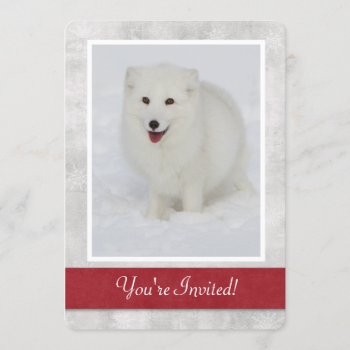 Arctic Fox Winter Party Invitation by CarsonPhotography at Zazzle