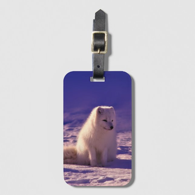 Arctic Fox Winter Snow Landscape Luggage Tag (Front Vertical)