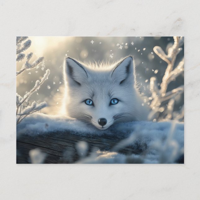 Arctic Fox with Mesmerizing Blue Eyes  Postcard (Front)