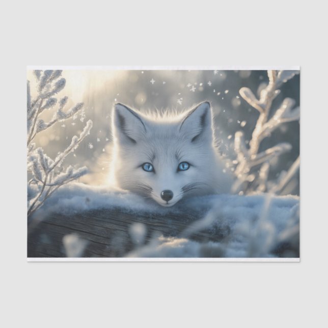 Arctic Fox with Mesmerizing Blue Eyes  Tissue Paper (Front)